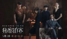 秘密影院在线观看,秘密影院在线观影之旅